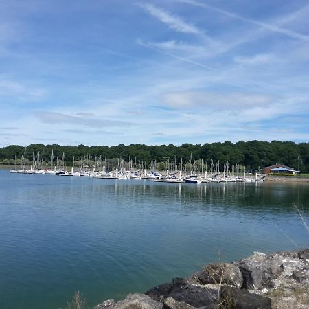 Le Nichoir Lac Du Der Droyes Εξωτερικό φωτογραφία
